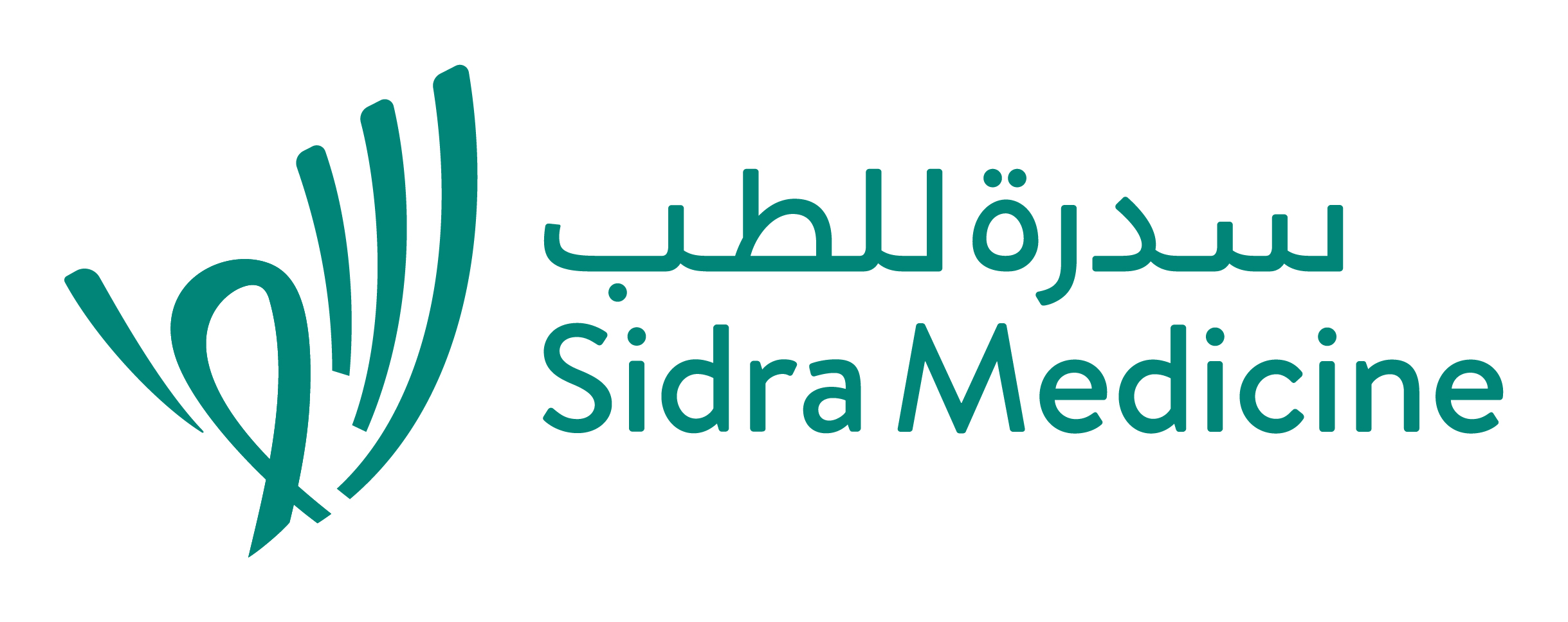 sidra-site